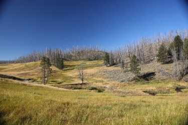 0O7A0636.JPG 0O7A0636.JPG