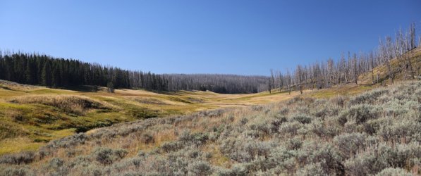 0O7A0639.JPG 0O7A0639.JPG