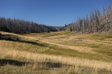 0O7A0647.JPG 0O7A0647.JPG