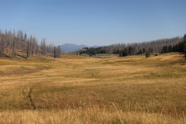 0O7A0648.JPG 0O7A0648.JPG