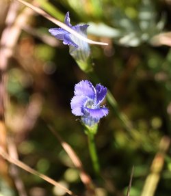 0O7A0659.JPG 0O7A0659.JPG