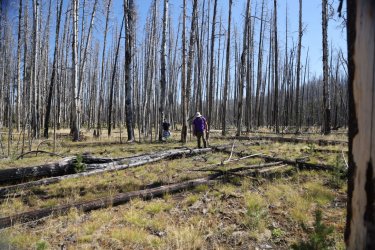 0O7A0661.JPG 0O7A0661.JPG