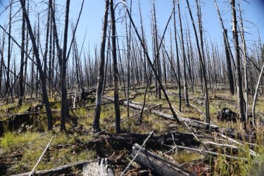 0O7A0662.JPG 0O7A0662.JPG