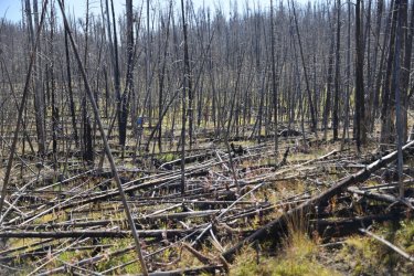 0O7A0663.JPG 0O7A0663.JPG