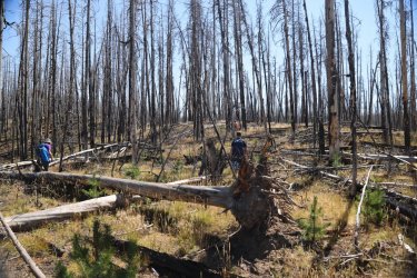 0O7A0664.JPG 0O7A0664.JPG