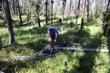 0O7A0669.JPG 0O7A0669.JPG