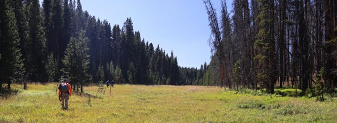 0O7A0671.JPG 0O7A0671.JPG