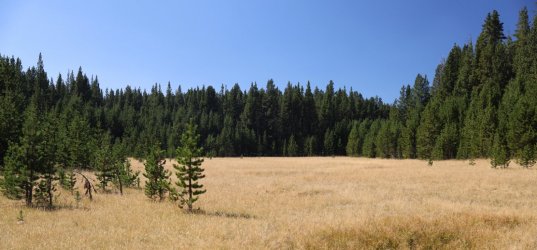 0O7A0676.JPG 0O7A0676.JPG