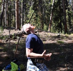 0O7A0700.JPG 0O7A0700.JPG