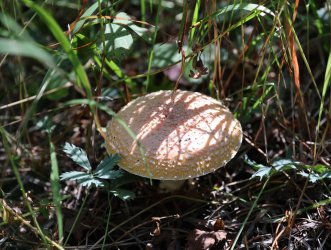 0O7A0706.JPG 0O7A0706.JPG