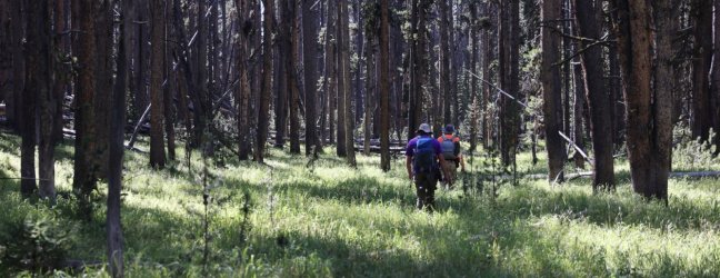 0O7A0707.JPG 0O7A0707.JPG