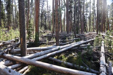 0O7A0710.JPG 0O7A0710.JPG