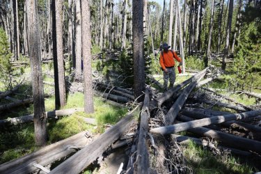 0O7A0711.JPG 0O7A0711.JPG