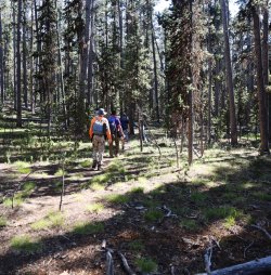 0O7A0723.JPG 0O7A0723.JPG