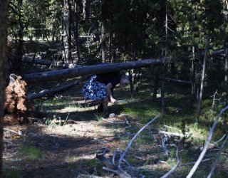 0O7A0727.JPG 0O7A0727.JPG