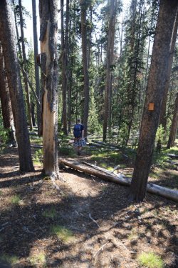 0O7A0729.JPG 0O7A0729.JPG