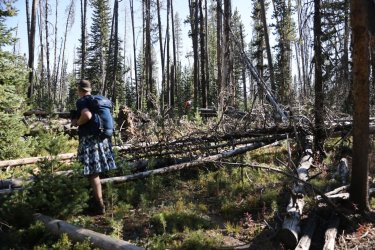 0O7A0731.JPG 0O7A0731.JPG