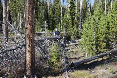 0O7A0732.JPG 0O7A0732.JPG