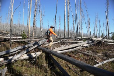 0O7A0733.JPG 0O7A0733.JPG