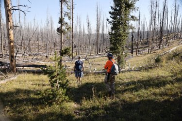 0O7A0734.JPG 0O7A0734.JPG