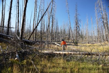 0O7A0736.JPG 0O7A0736.JPG