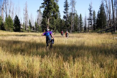 0O7A0738.JPG 0O7A0738.JPG