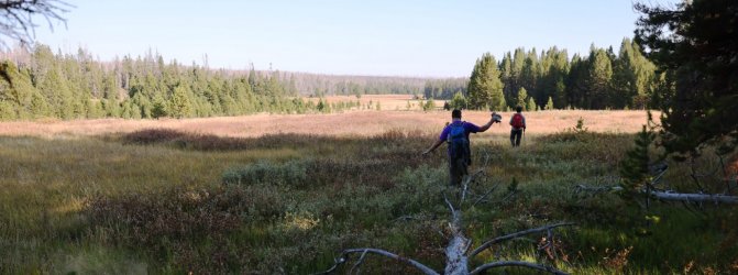 0O7A0740.JPG 0O7A0740.JPG