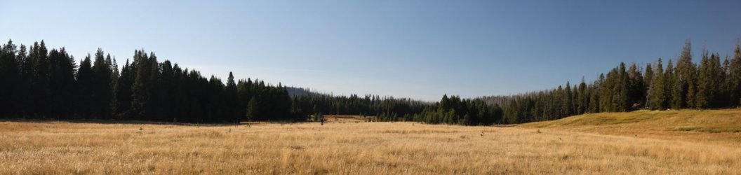 0O7A0741.JPG 0O7A0741.JPG