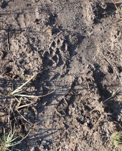 0O7A0743.JPG 0O7A0743.JPG