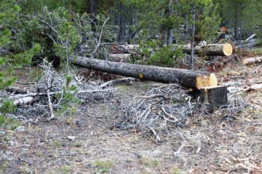 0O7A0747.JPG 0O7A0747.JPG