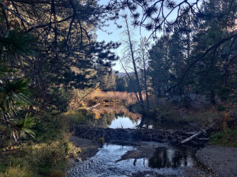 1665847934580.png 1665847934580.png