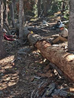 1665847982322.png 1665847982322.png