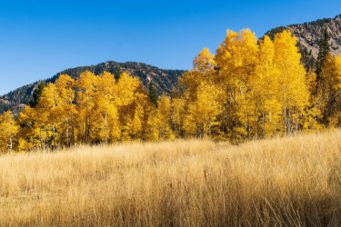 RCM08150-2022 Wanderings 2022-221014-20.jpg