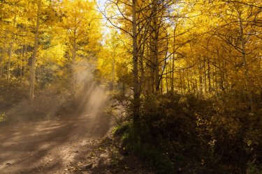 RCM08170-2022 Wanderings 2022-221014-34.jpg