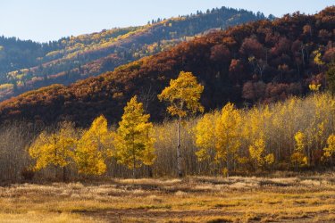 RCM08209-2022 Wanderings 2022-221014-59.jpg