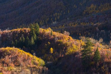 RCM08230-2022 Wanderings 2022-221014-72.jpg