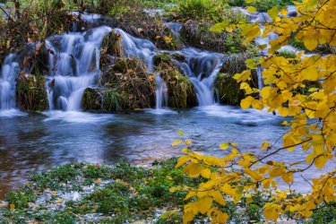 RCM08240-2022 Wanderings 2022-221014-76.jpg