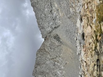 Back at forrester.JPG