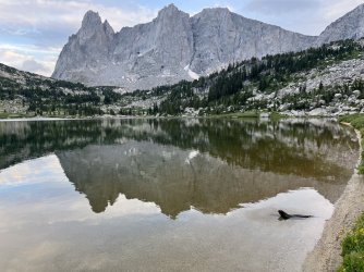 CA11AD5C-1B0F-42BF-856F-2B1E1918E0D9.jpeg CA11AD5C-1B0F-42BF-856F-2B1E1918E0D9.jpeg