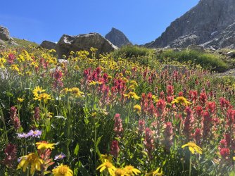 EDEBEC01-1189-431E-910F-9E4A0EE8359A.jpeg EDEBEC01-1189-431E-910F-9E4A0EE8359A.jpeg