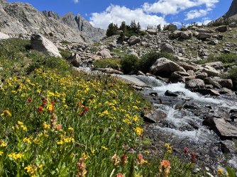 5FAD90E4-4477-4AB2-9E4A-0FDAC1220908.jpeg 5FAD90E4-4477-4AB2-9E4A-0FDAC1220908.jpeg