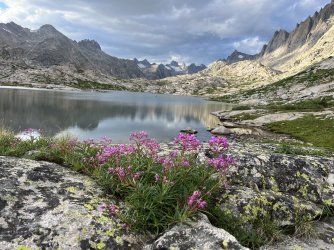 02F6641C-C43F-429A-B54C-97528D0FBF17.jpeg 02F6641C-C43F-429A-B54C-97528D0FBF17.jpeg