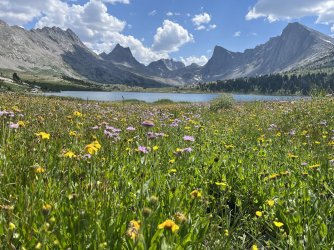 16E92DB4-0483-4C43-B643-83F338C3953A.jpeg 16E92DB4-0483-4C43-B643-83F338C3953A.jpeg