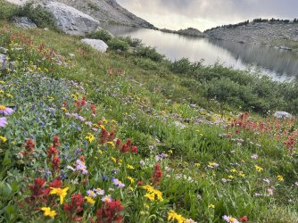 2ACAFDAD-2CC5-428E-8810-6FC57E8DCFCD.jpeg 2ACAFDAD-2CC5-428E-8810-6FC57E8DCFCD.jpeg