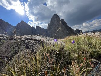 EC44A059-1EDB-4001-9E50-7FE2A742F5E3.jpeg EC44A059-1EDB-4001-9E50-7FE2A742F5E3.jpeg