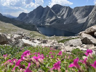 F72AAECD-0680-46FD-B10A-30983F688708.jpeg F72AAECD-0680-46FD-B10A-30983F688708.jpeg