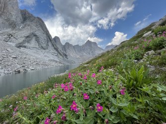 3DED43E0-7E0D-4923-92B0-CDAEAB8C484F.jpeg 3DED43E0-7E0D-4923-92B0-CDAEAB8C484F.jpeg