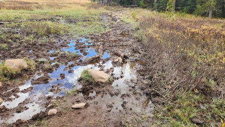 20220930_154843.jpg 20220930_154843.jpg