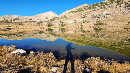 20221005_091303.jpg 20221005_091303.jpg