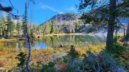 20221006_154047.jpg 20221006_154047.jpg